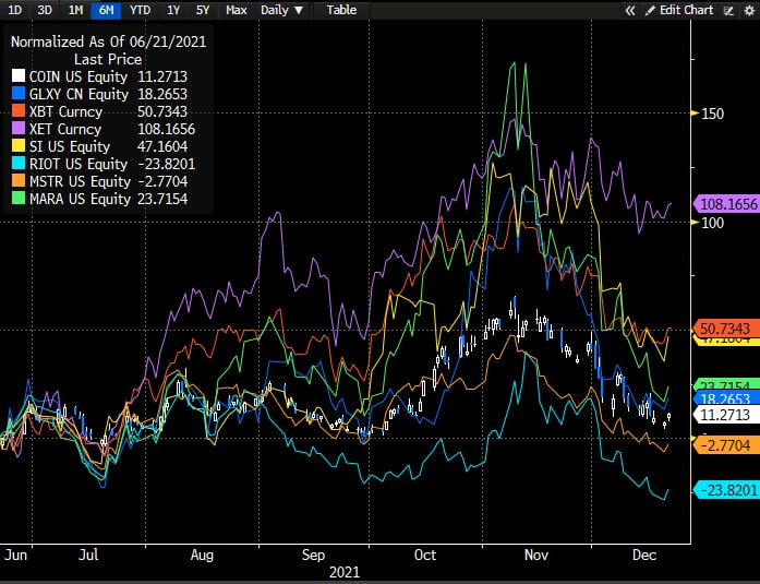 Best Crypto Stocks to Buy in 2026: Top Picks for the Post-Halving Cycle